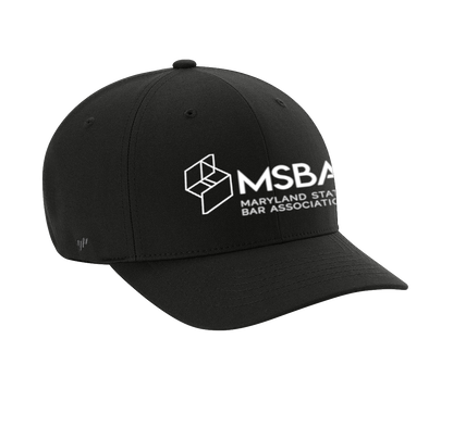 Unisex FlexFit Baseball Cap